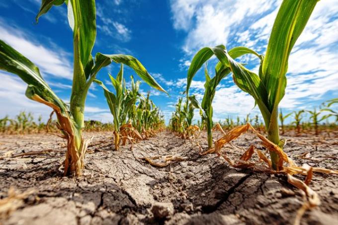 EnBio vuelve con un nuevo formato