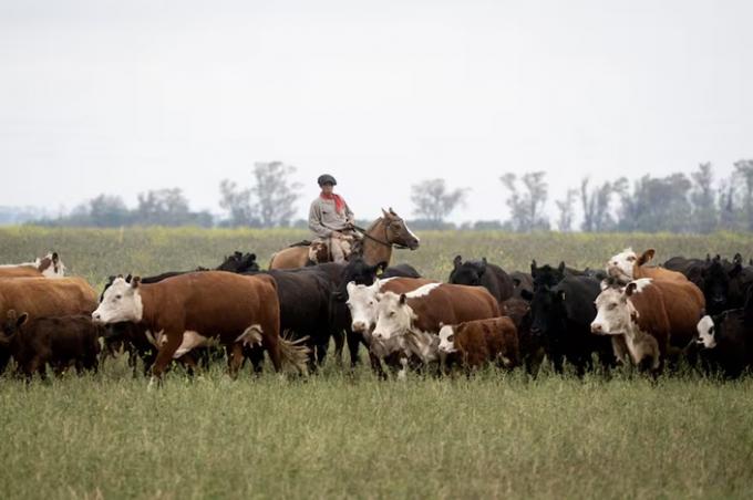 De la época de Onganía. El Gobierno modificó un reglamento del Senasa y derogó normas de hace casi 60 años
