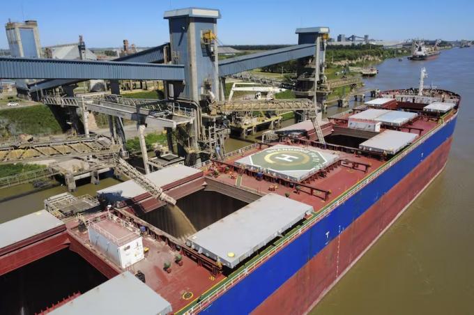 Soja en pausa y trigo en auge: dos cultivos con realidades opuestas