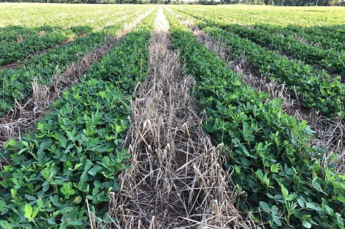 Estados Unidos el capital silencioso que redefine la tierra agrícola