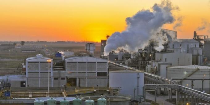 La relevancia de la industria aceitera argentina como formadora del precio de la soja sigue vigente a pesar de la caída del nivel de actividad