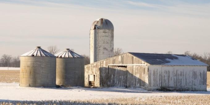 Los productores de soja de EE.UU. aseguran que perderán 185 u$s/ha a pesar de recibir un paquete extraordinario de subsidios