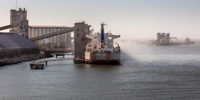 Los productores bonaerenses que apostaron por la cebada recibieron finalmente su merecido premio