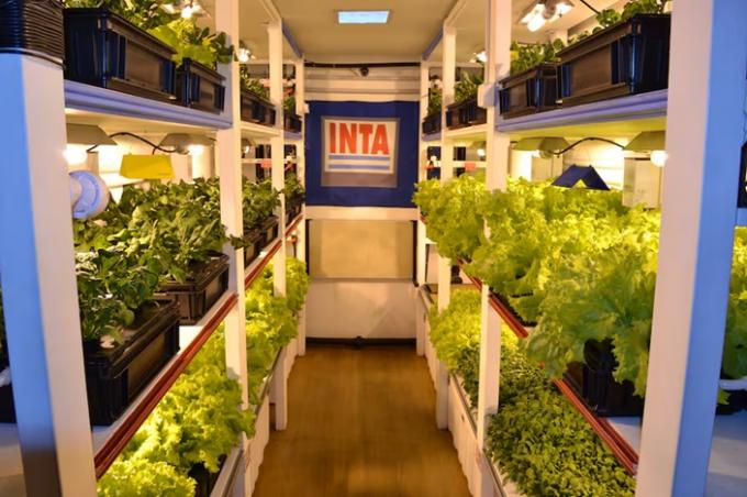 Motosierra recomiendan al Gobierno una fuerte reforma del INTA