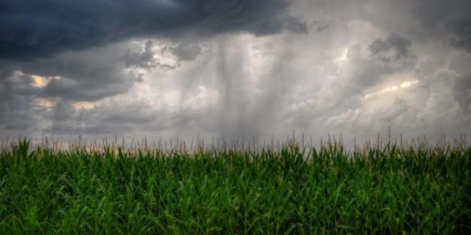 Se cortó la mala racha y aparecieron las lluvias, pero ahora se vienen tormentas severas en gran parte de las regiones productivas