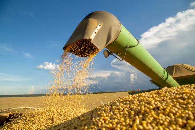 Dólares febrero podría terminar con una importante merma en la liquidación de divisas