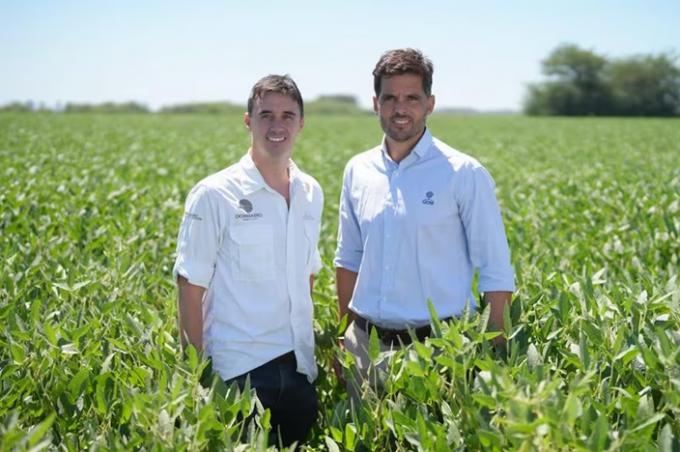 El partido de la soja un experto explicó cómo la Argentina puede achicar una brecha con Brasil