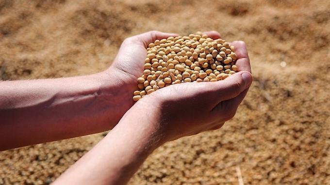 Nueva Ley de Semillas sí, pero con equilibrio: la posición de CARBAP ante UPOV 91