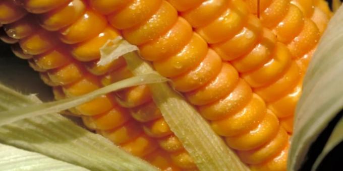 En 2025 creció la adopción del crédito digital en el agro y el productor se volcó fuertemente al dólar