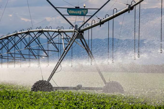 Salió con la reforma laboral qué cambia con el RIMI, la ambiciosa apuesta del Gobierno para las medianas inversiones