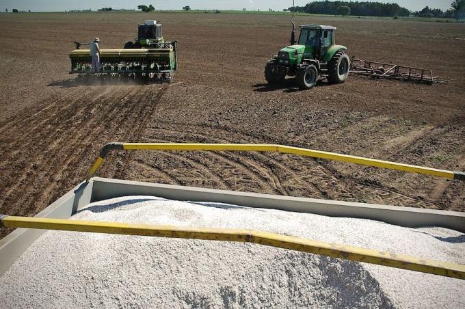 La guerra ya golpea a los fertilizantes la urea subió hasta un 20% y el mercado quedó en pausa
