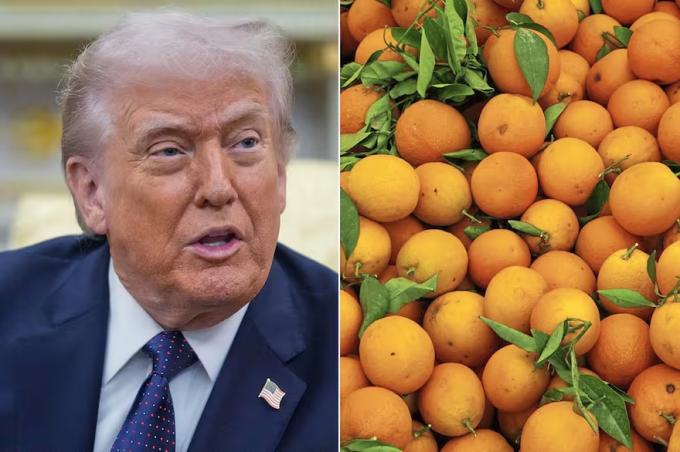 Exportarían 20.000 toneladas aceleran gestiones para que Estados Unidos abra su mercado a los cítricos dulces