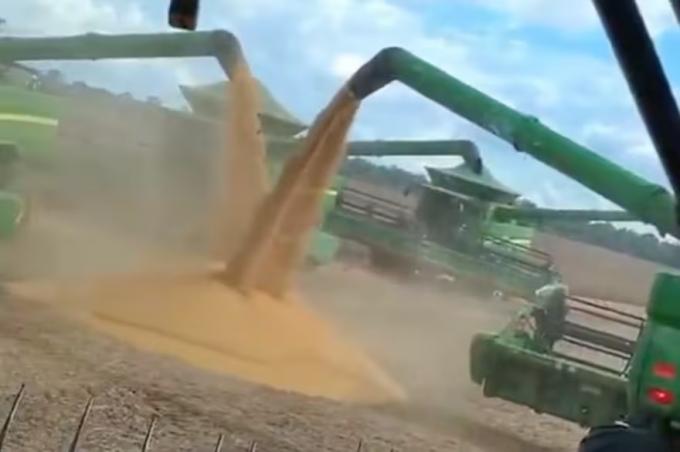 Una vergüenza la cosecha récord de soja en Brasil desbordó la logística y generó filas de camiones de hasta 30 kilómetros