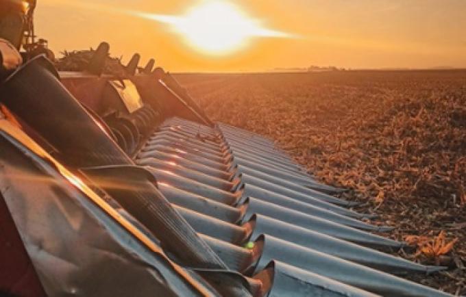 El precio del maíz argentino está baratísimo, pero la buena noticia es que podría estar mucho más bajo