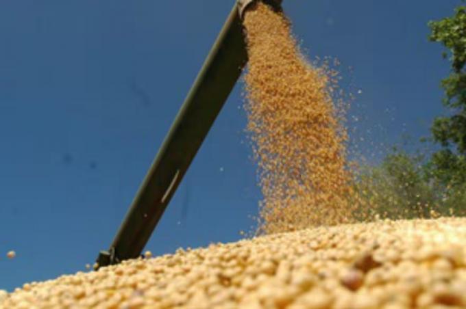 La guerra en Medio Oriente sacude al agro volatilidad en la soja y disparada de más de US$200 en la urea