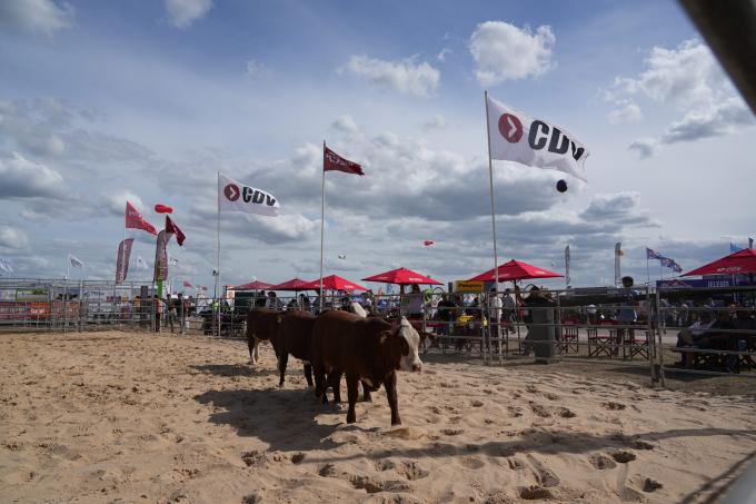La raza Braford inició sus actividades en Expoagro con una charla sobre patrón racial y sanidad