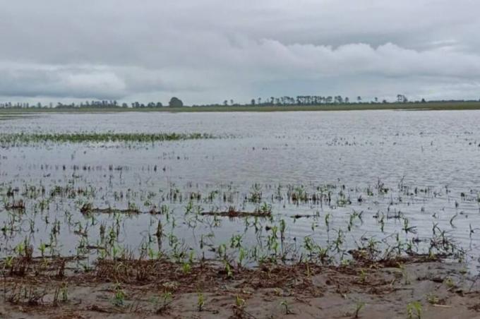 Temen más lluvias el agua en Tucumán golpeó con todo en la infraestructura rural