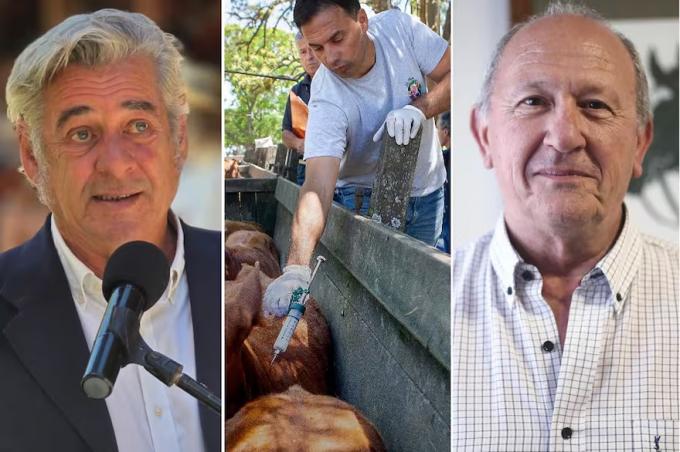 Cambios en la vacuna contra la aftosa el campo se divide por una medida del Gobierno que promete bajar costos