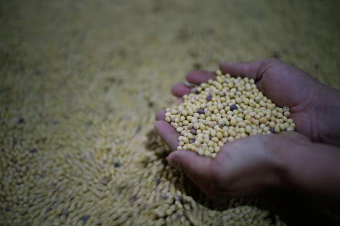 Ley de semillas qué cambia frente al actual esquema, según la propuesta definitiva de la Mesa de Enlace