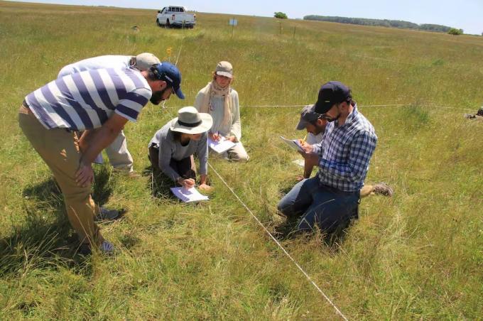 Internacional un programa que busca mejorar 500.000 hectáreas comienza a pagar a productores
