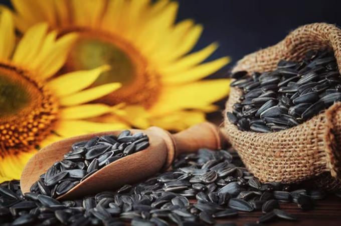 En Bulgaria detectaron residuos de pesticidas por encima del límite en cargamentos argentinos de girasol