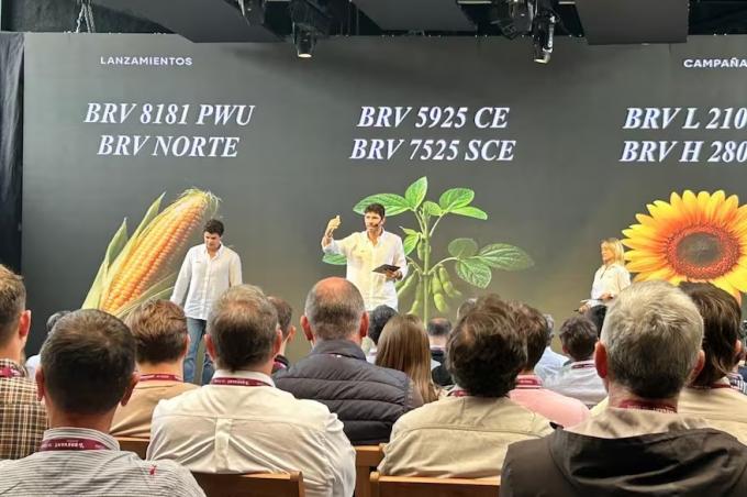 Renovación genética marca multinacional presentó híbridos de maíz con tolerancia a la chicharrita, entre otras novedades