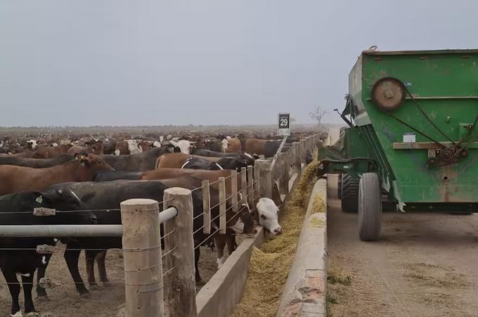 RIMI: el piso de US$150.000 deja afuera inversiones del campo y genera reclamos del sector