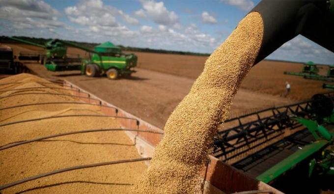 Exportaciones récord del agro: el campo argentino embarcó 29 millones de toneladas en el primer trimestre de 2026