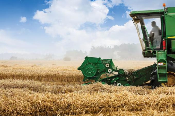 Primeros cálculos la próxima campaña de trigo se enfrenta a números al límite o en rojo El salto de los fertilizantes dejó 