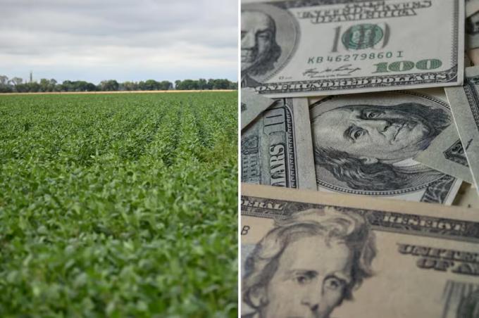 Regreso los inversores extranjeros vuelven a preguntar para comprar campos en el país