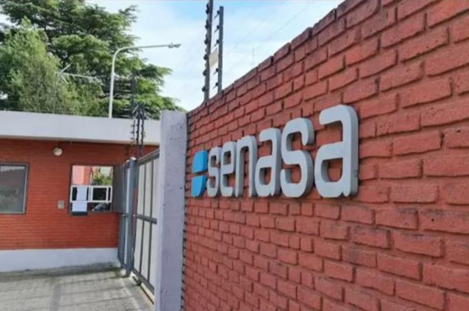 Exportaciones temen que se cierren mercados en ovinos y subproductos cárnicos por una enfermedad que investiga el Senasa