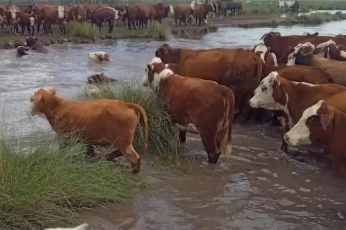 Extrema gravedad hay casi un millón de hectáreas bajo el agua por un diluvio en Santa Fe y temen fuertes pérdidas