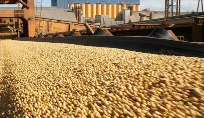 El Complejo Agroindustrial reporta exportaciones por USD 12.218 millones en el primer trimestre de 2026