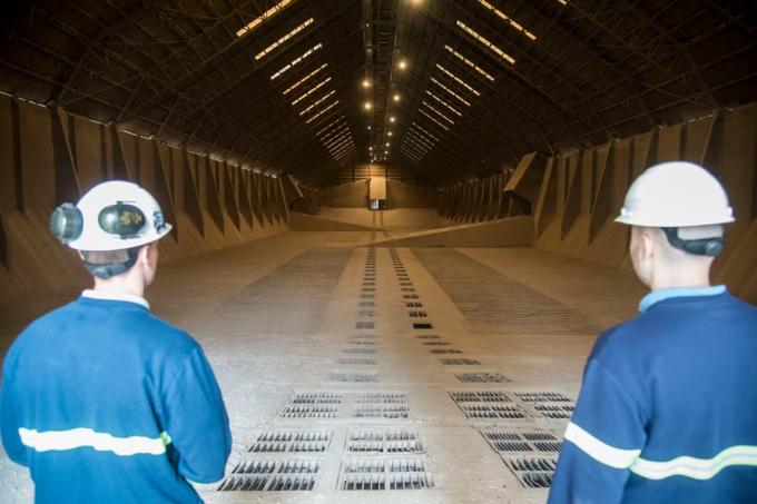 Preocupación por alertas de la Unión Europea detectó una soja argentina no aprobada en ese mercado