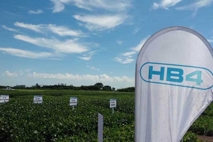 Brasil cuestionó el proceso de detección en Europa de una soja argentina no aprobada en ese mercado