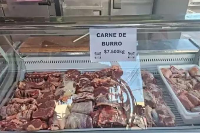 Operación internacional el Gobierno fustigó a un medio alemán que habló del consumo de carne de burro