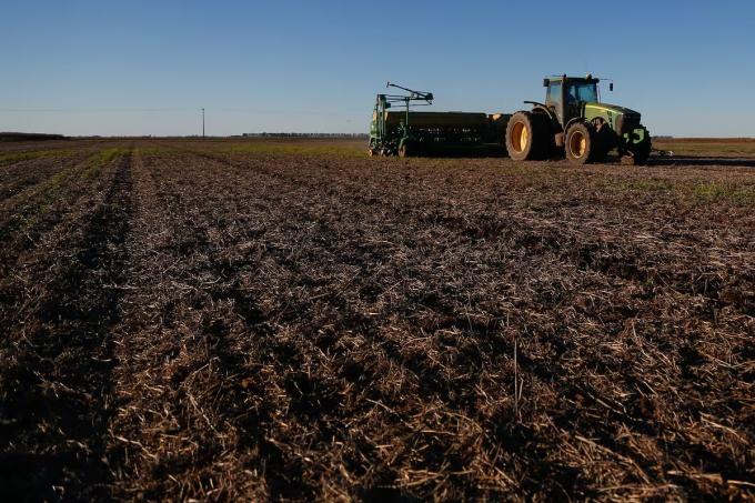 Trigo hay suficiente humedad para sembrar y precios razonables, pero los altos costos erosionan los márgenes netos