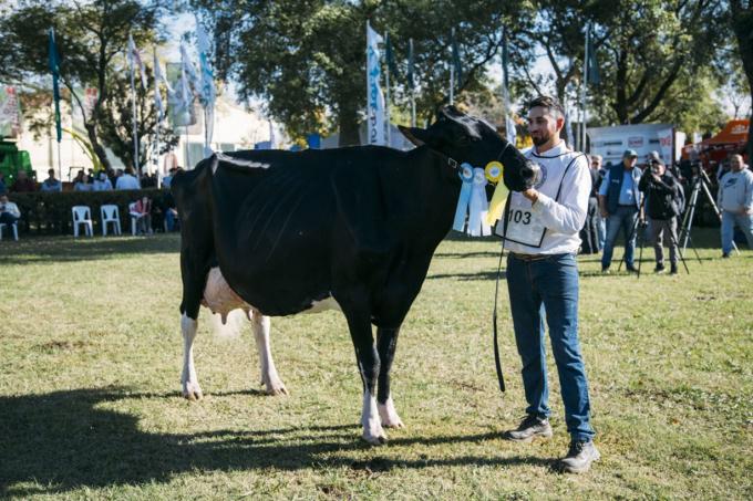 Una vaca de “La Lilia”, se consagró como Vaca Suprema en TodoLáctea