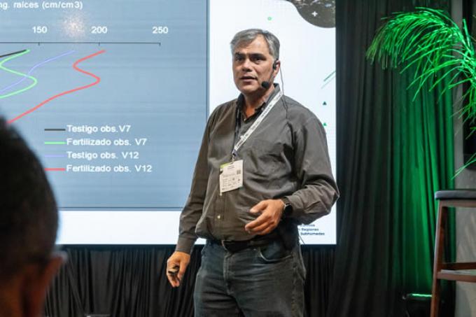 Cuál es la estrategia de nutrición de maíz para maximizar el rendimiento potencial por planta