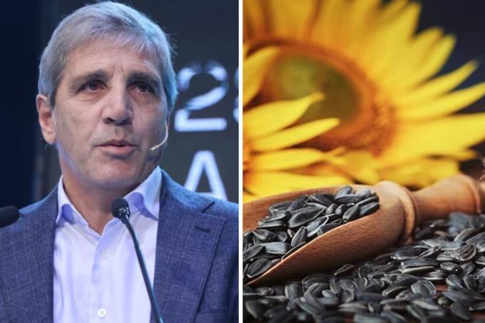Lo anunció Caputo el agro ya exportó por US$17.095 millones y alcanzó un récord en volumen
