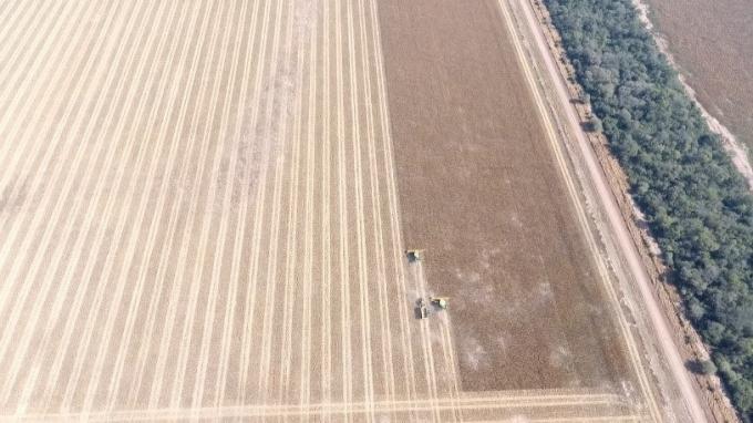 Cosecha en lotes húmedos: la compactación silenciosa que puede afectar los rindes durante años