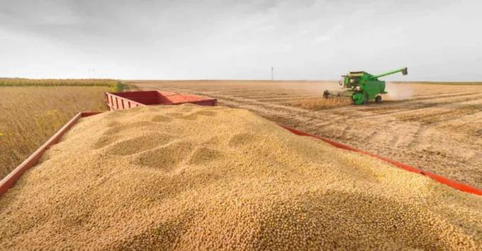 La cosecha de soja 2025/26 alcanza el 91,7% y registra el segundo mejor rinde de la historia