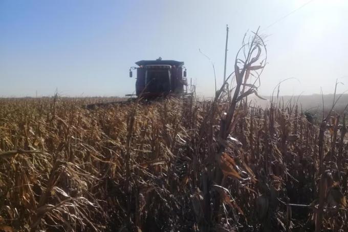 Proyección la hoja de ruta para llegar a otra cosecha récord