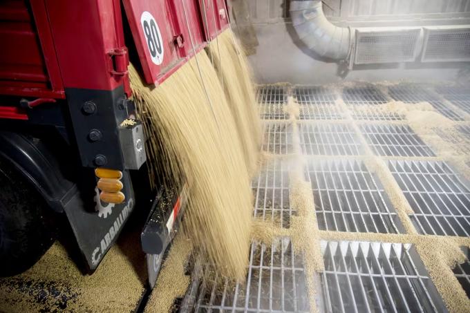 Gremios aceiteros y exportadores siguen sin un acuerdo salarial en plena cosecha