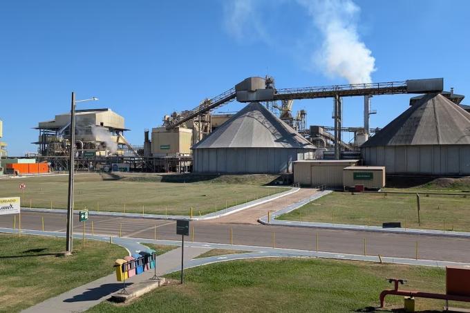 Tiene 900.000 kilómetros cuadrados cómo funciona uno de los principales polos agroindustriales del mundo