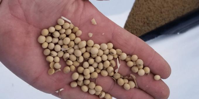 Se siguen negociando en el mercado argentino precios superiores a los de la capacidad teórica de pago de la industria
