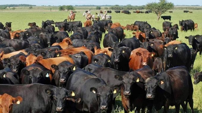 La ganadería va a tener la misma tecnología que la agricultura. el diagnóstico desde el Congreso Ganadero