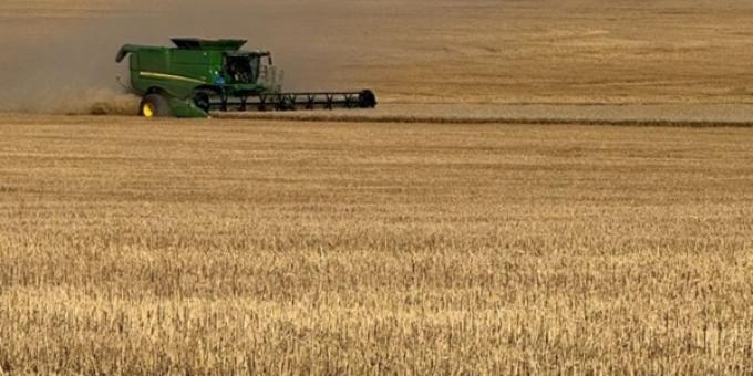 El agro impulsa el PIB: la economía creció 2,3% en el primer trimestre