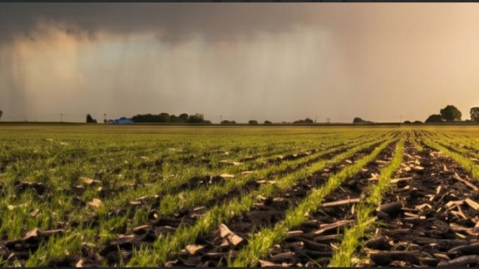 La siembra de fina avanza con demoras y la cosecha de soja muestra fuerte heterogeneidad regional