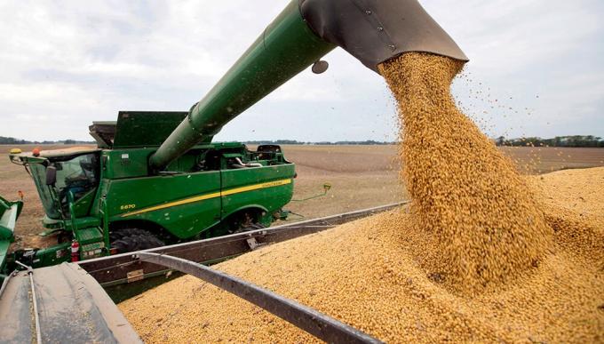 La cosecha de soja llegó al 99,1% y se mantiene la proyección de 50,1 millones de toneladas